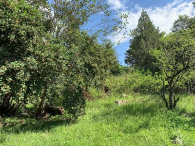 Venta lote en Icho Cruz Sierras, a 200 metros del río.