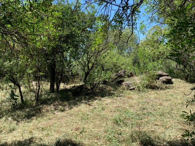 LOTE EN CUESTA BLANCA A METROS DE LAS CINCO ESQUINAS.
