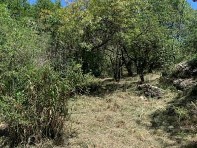 LOTE EN CUESTA BLANCA A METROS DE LAS CINCO ESQUINAS.