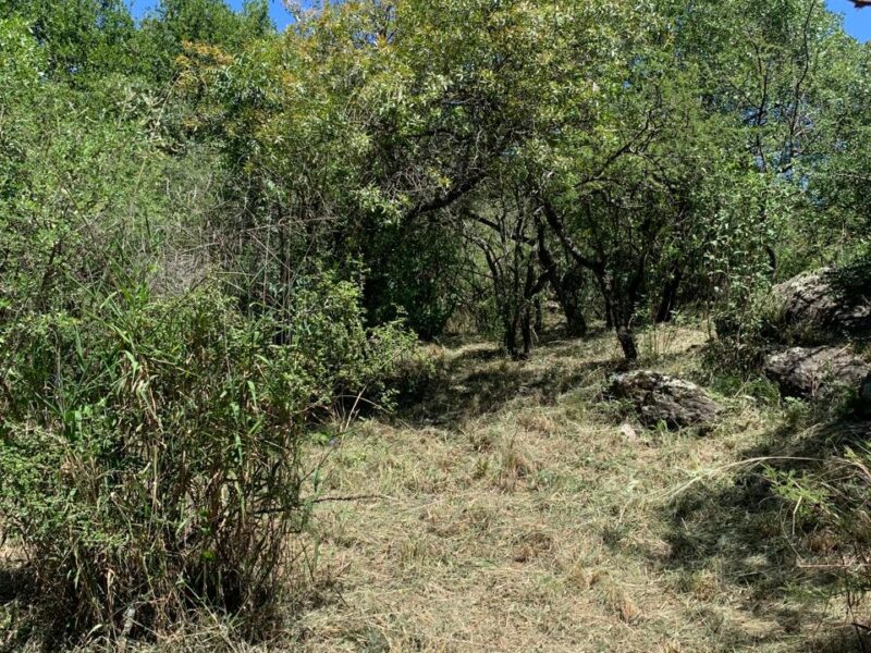 LOTE EN CUESTA BLANCA A METROS DE LAS CINCO ESQUINAS.