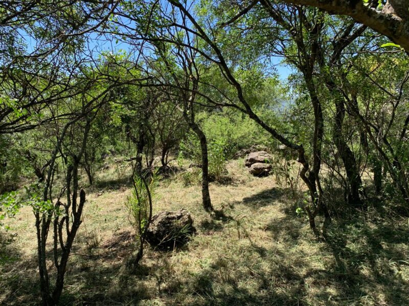 LOTE EN CUESTA BLANCA A METROS DE LAS CINCO ESQUINAS.