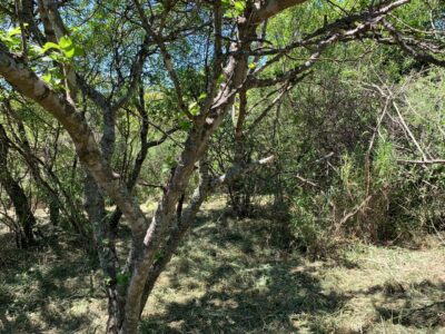 LOTE EN CUESTA BLANCA A METROS DE LAS CINCO ESQUINAS.