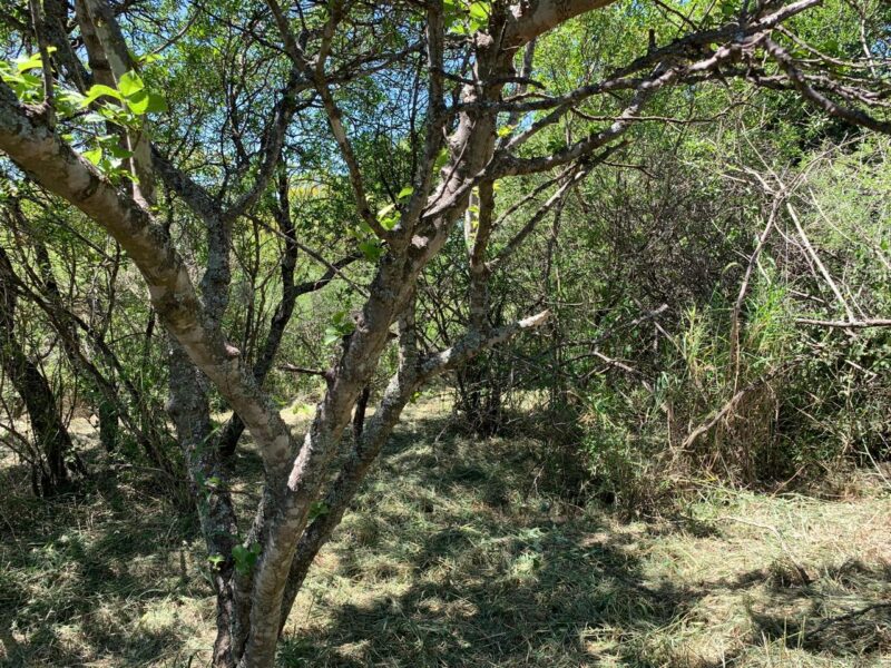 LOTE EN CUESTA BLANCA A METROS DE LAS CINCO ESQUINAS.