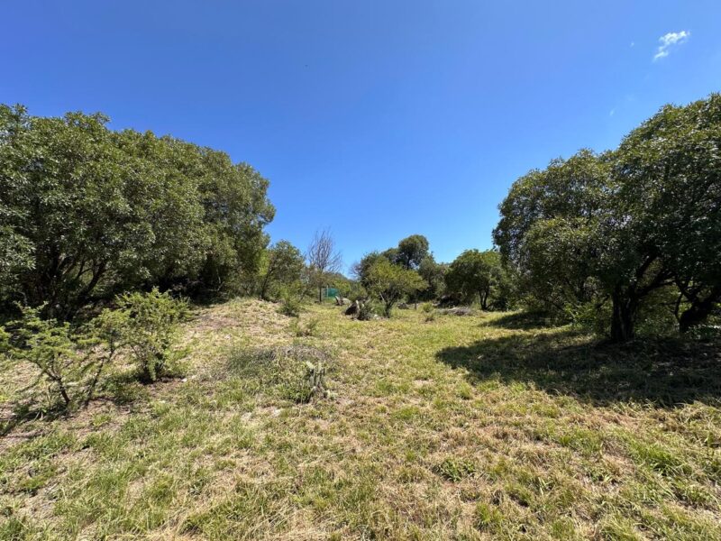 VENTA DE LOTES EN ICHO CRUZ SOBRE LA RUTA.