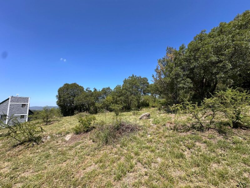 VENTA DE LOTES EN ICHO CRUZ SOBRE LA RUTA.