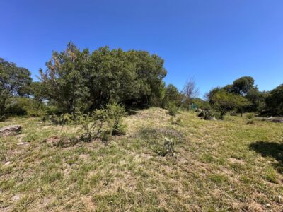 VENTA DE LOTES EN ICHO CRUZ SOBRE LA RUTA.