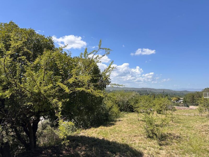VENTA DE LOTES EN ICHO CRUZ SOBRE LA RUTA.