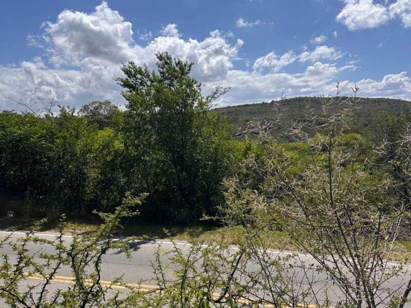 VENTA DE LOTES EN ICHO CRUZ SOBRE LA RUTA.