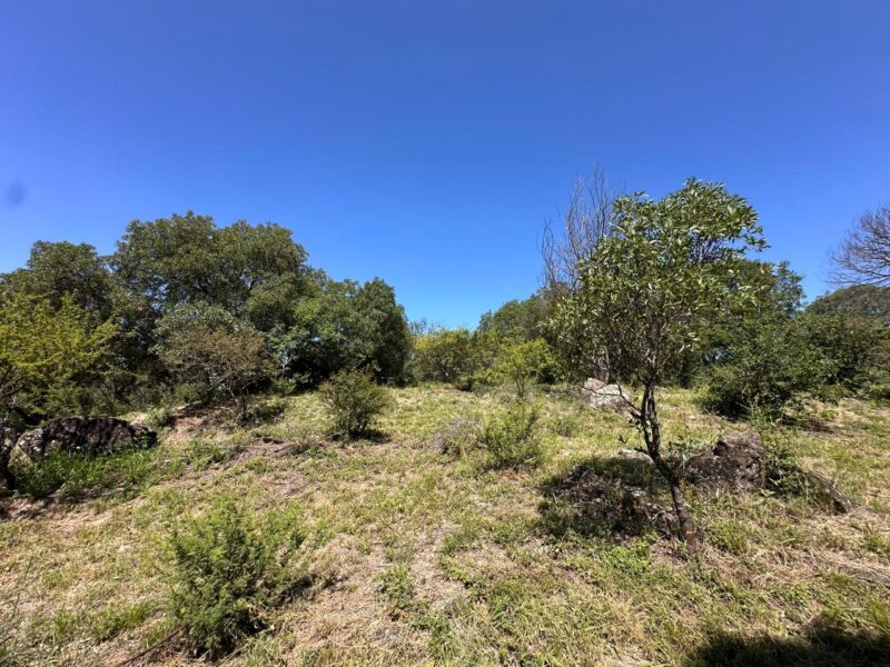 VENTA DE LOTES EN ICHO CRUZ SOBRE LA RUTA.