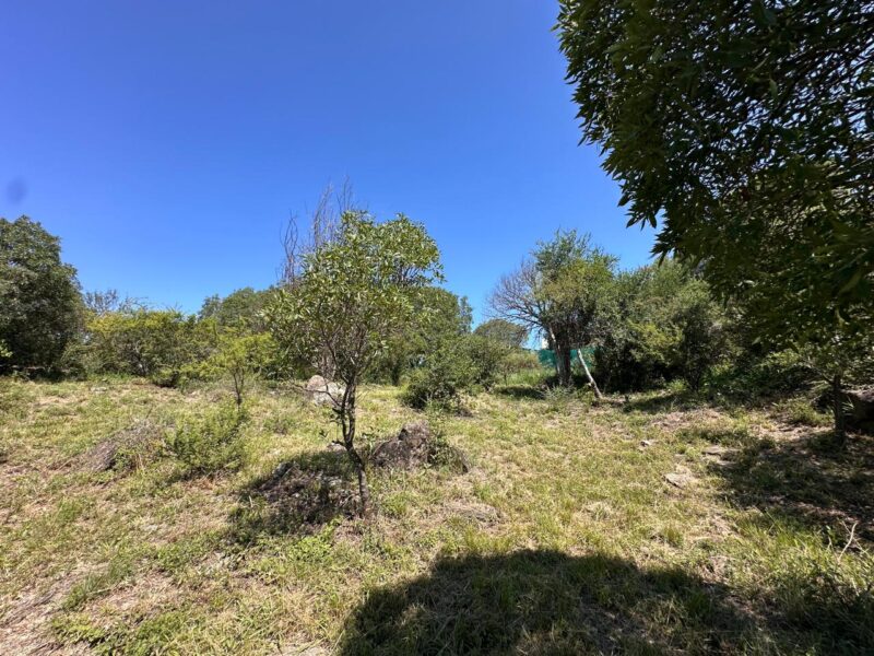 VENTA DE LOTES EN ICHO CRUZ SOBRE LA RUTA.