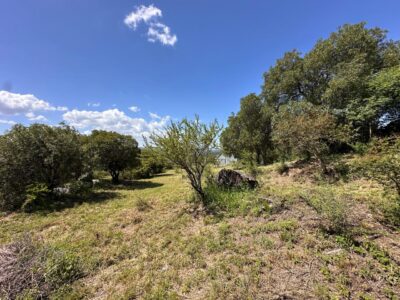 VENTA DE LOTES EN ICHO CRUZ SOBRE LA RUTA.
