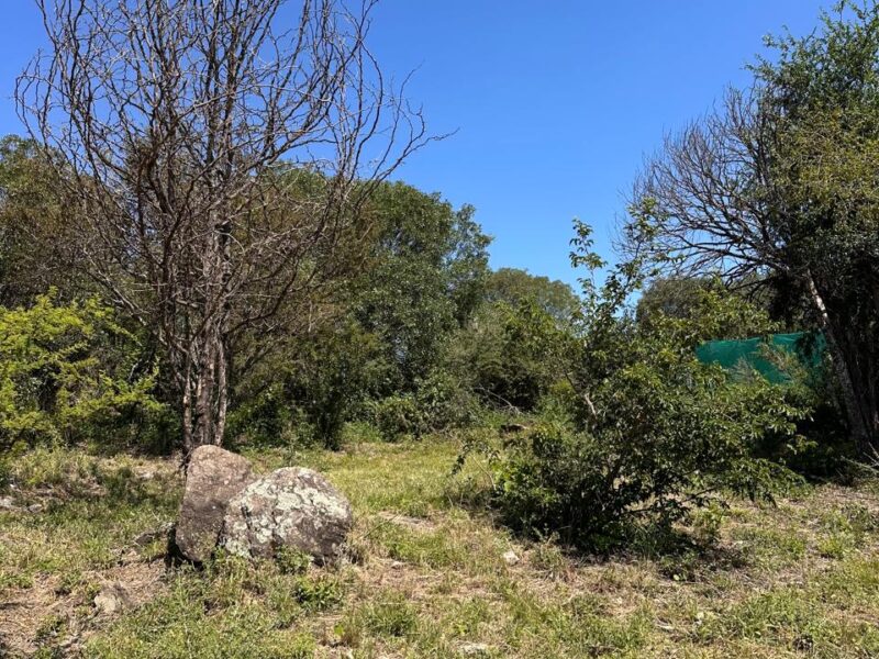 VENTA DE LOTES EN ICHO CRUZ SOBRE LA RUTA.