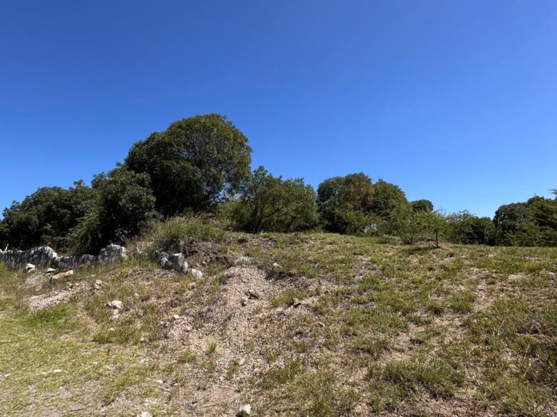 VENTA DE LOTES EN ICHO CRUZ SOBRE LA RUTA.