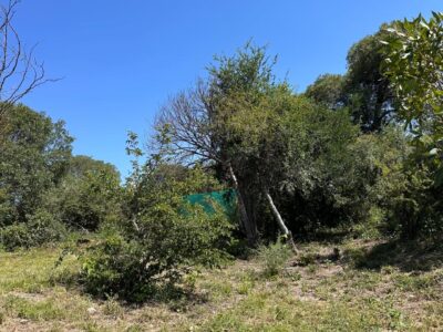 VENTA DE LOTES EN ICHO CRUZ SOBRE LA RUTA.