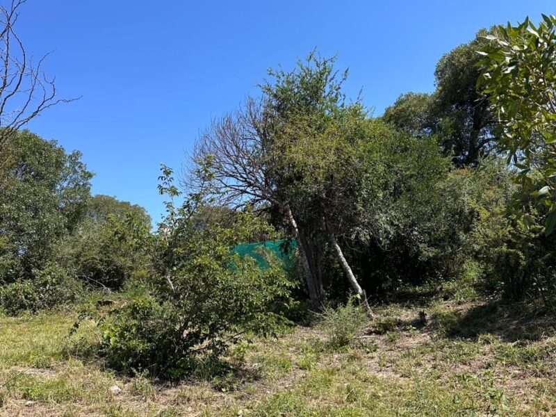 VENTA DE LOTES EN ICHO CRUZ SOBRE LA RUTA.