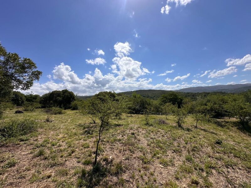 VENTA DE LOTES EN ICHO CRUZ SOBRE LA RUTA.