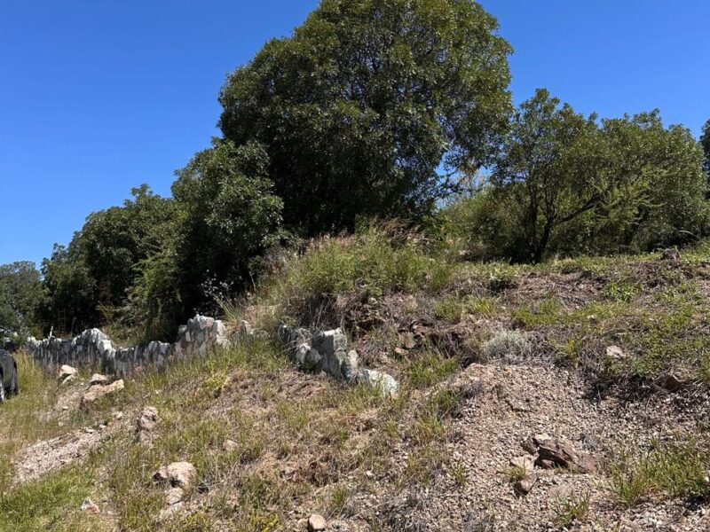VENTA DE LOTES EN ICHO CRUZ SOBRE LA RUTA.