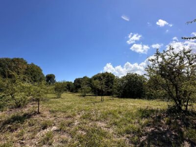 VENTA DE LOTES EN ICHO CRUZ SOBRE LA RUTA.