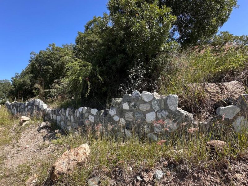 VENTA DE LOTES EN ICHO CRUZ SOBRE LA RUTA.