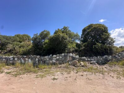 VENTA DE LOTES EN ICHO CRUZ SOBRE LA RUTA.