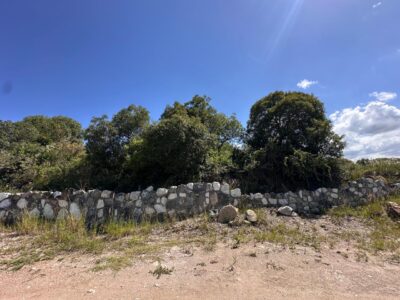 VENTA DE LOTES EN ICHO CRUZ SOBRE LA RUTA.