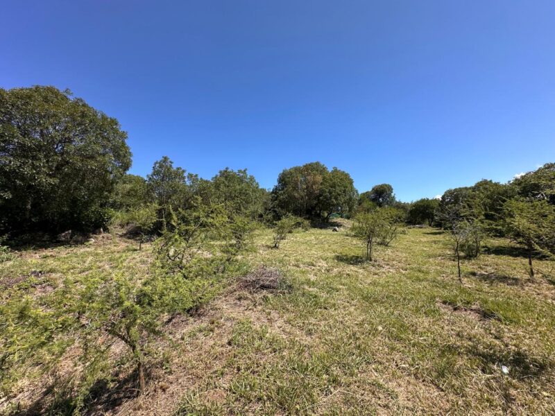 VENTA DE LOTES EN ICHO CRUZ SOBRE LA RUTA.