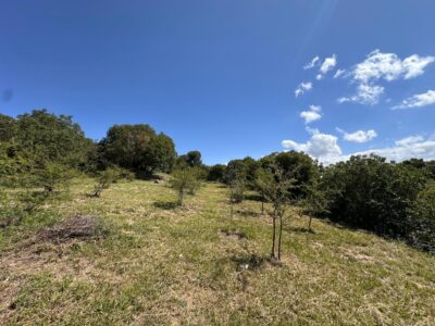 VENTA DE LOTES EN ICHO CRUZ SOBRE LA RUTA.