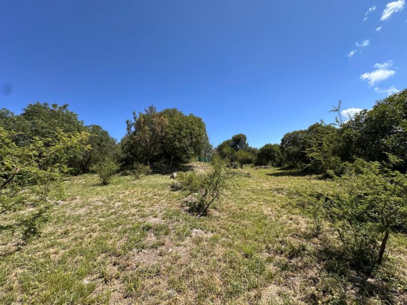 VENTA DE LOTES EN ICHO CRUZ SOBRE LA RUTA.