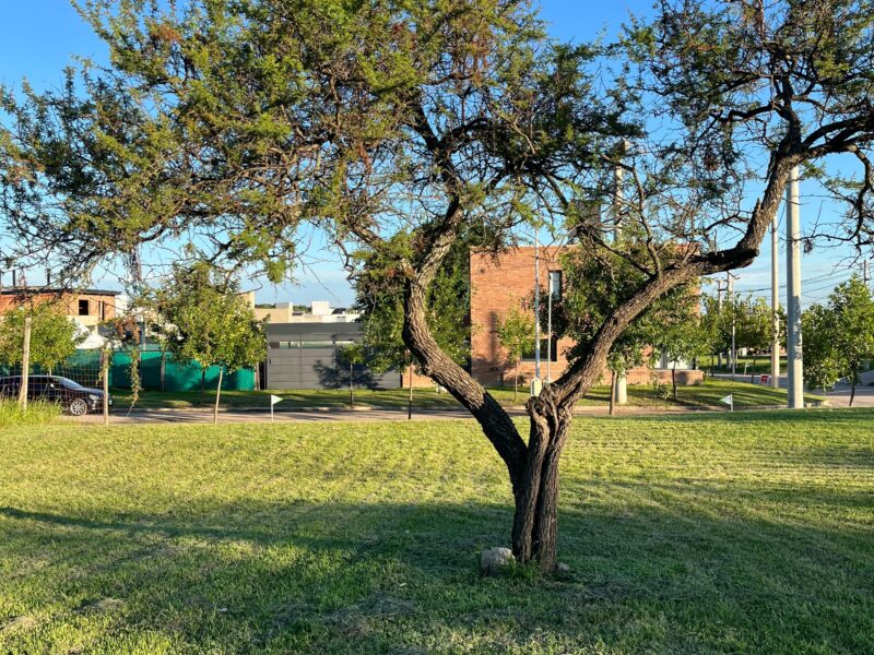 Venta lote en barrio cerrado Tejas 4.