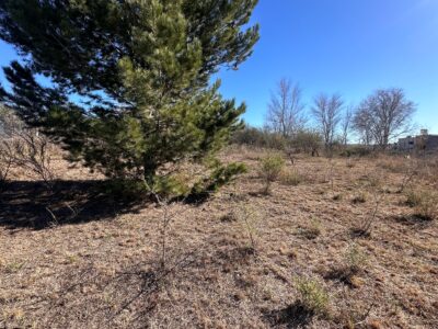 Lote Terreno en Terrazas de Playa de Oro, Villa Carlos Paz con Escritura
